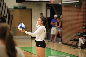 IMG_4602
